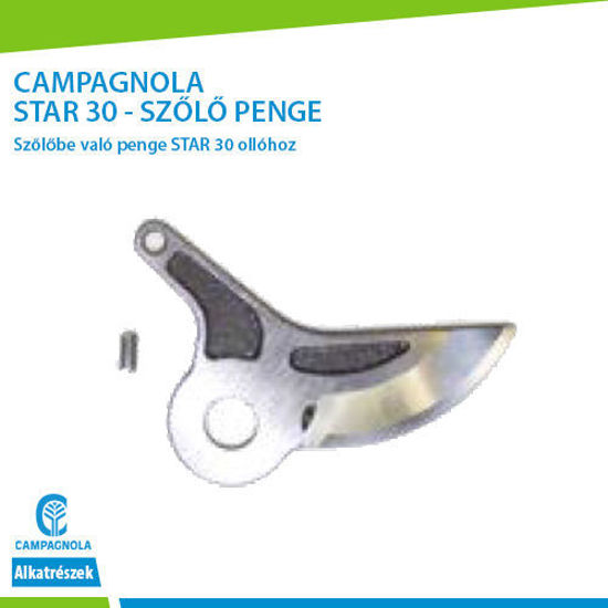 Picture of STAR 30 - Vigna PENGE