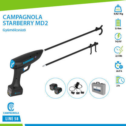 Picture of CAMPAGNOLA Starberry - MD2 Gyümölcsrázó