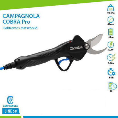 Picture of CAMPAGNOLA Cobra Pro - Metszőolló készlet - Akkumulátor és vezérlő nélkül