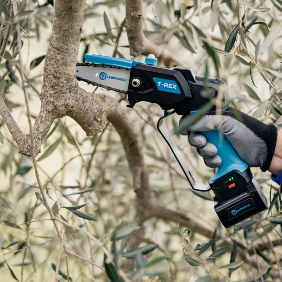 Picture of CAMPAGNOLA - T-REX - Elektromos kompakt láncfűrész készlet - KIFUTÓ TERMÉK (