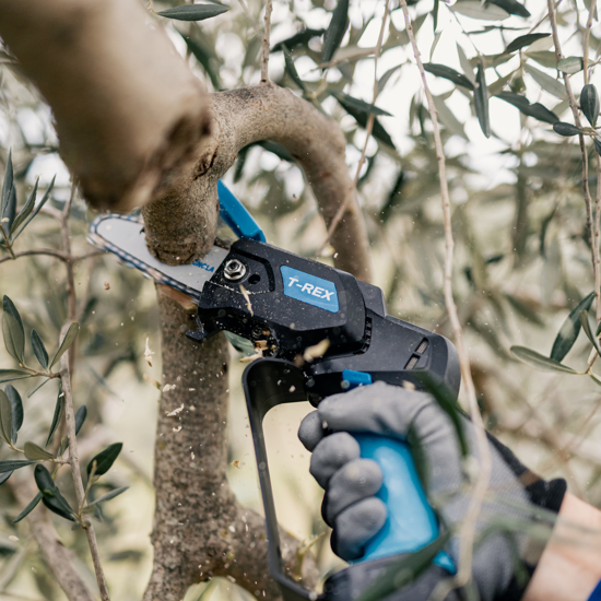Picture of CAMPAGNOLA - T-REX - Elektromos kompakt láncfűrész készlet - KIFUTÓ TERMÉK (