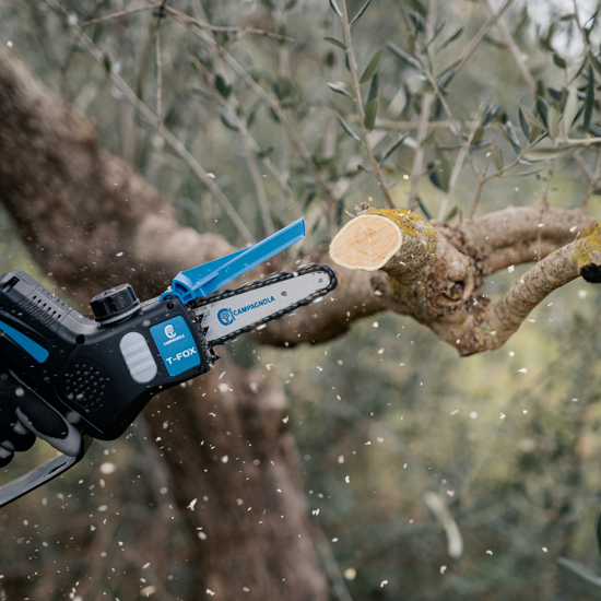Picture of CAMPAGNOLA TYSON XL - Elektromos kompakt láncfűrész készlet - ÚJ TERMÉK