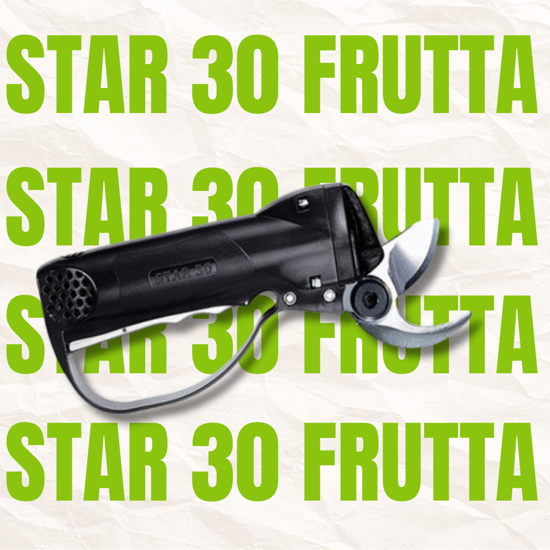 Picture of CAMPAGNOLA - STAR 30 Frutta - Pneumatikus metszőolló