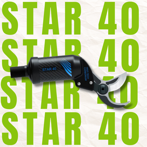 Picture of CAMPAGNOLA - Star 40 - Pneumatikus metszőolló