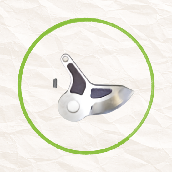 Picture of STAR 30 - Frutta PENGE