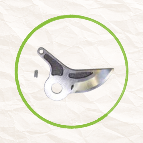 Picture of STAR 30 - Vigna PENGE