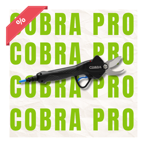 Picture of CAMPAGNOLA Cobra Pro - Metszőolló készlet AKCIÓS KIFUTÓ TERMÉK!