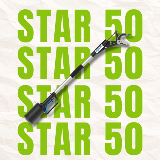 Picture of CAMPAGNOLA Star 50 - Pneumatikus magassági ágvágó egyenes pengével (2m kiterjesztő rúddal)